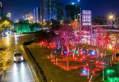 南充市政亮化麻豆午夜福利视频製作施工安裝